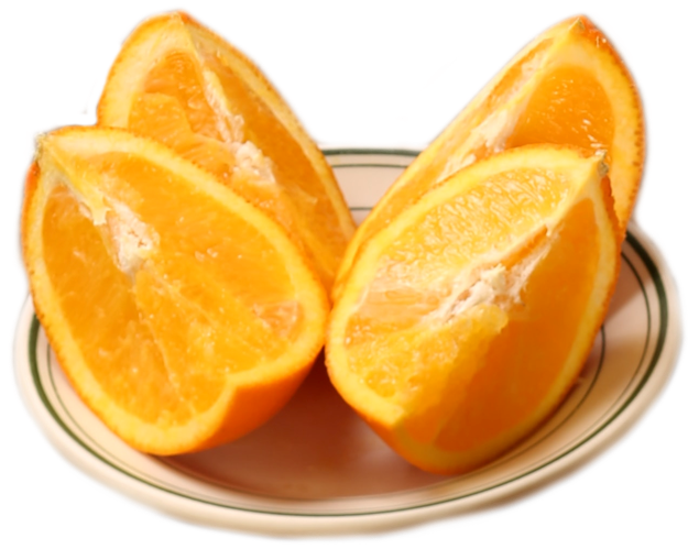 A plate with orangeslices